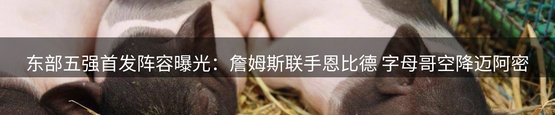最新动态