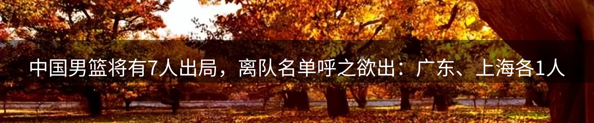 最新动态