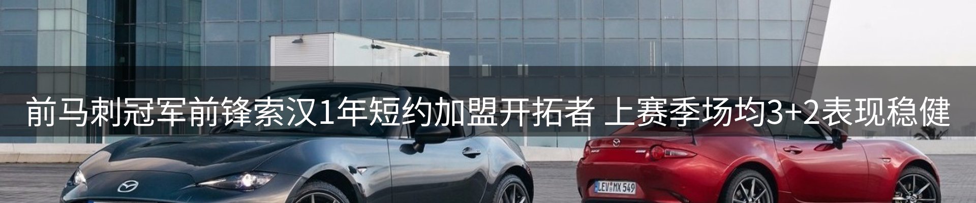 最新动态