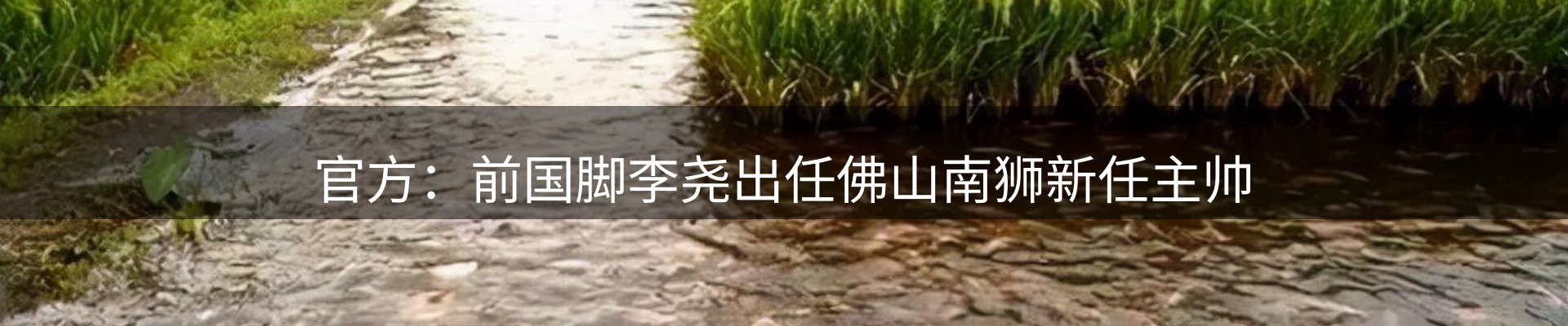 最新动态