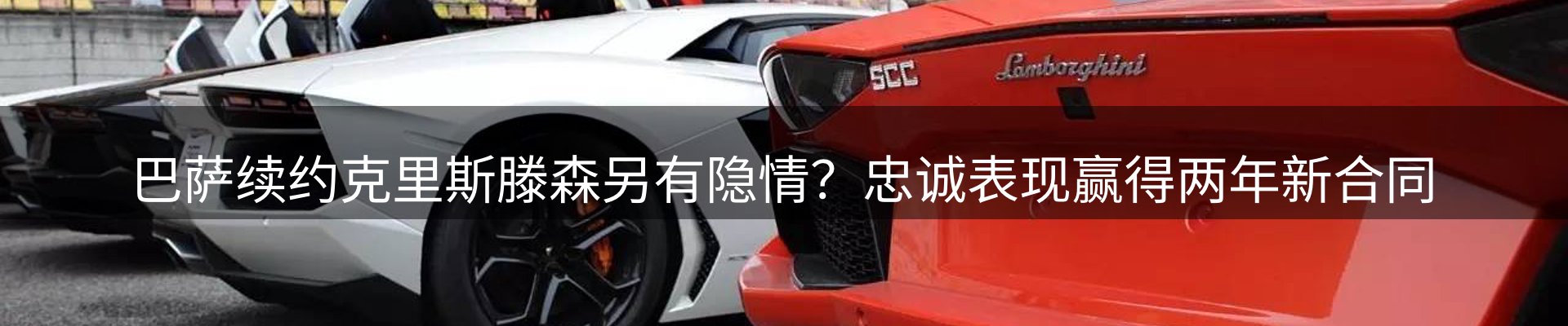 最新动态
