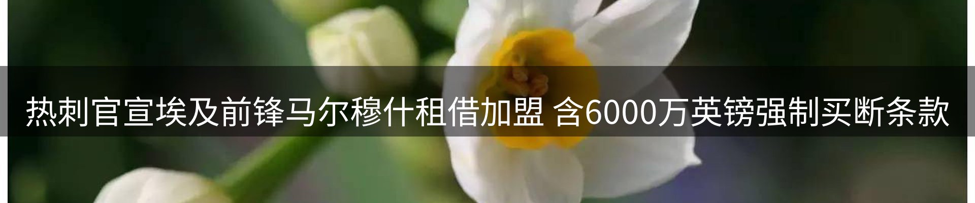 品牌资讯