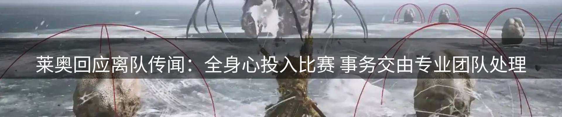 最新动态